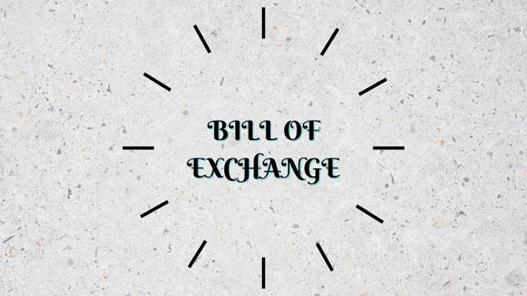 Bill of Exchange (Payment Document) | Texhour
